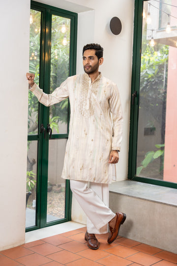 Multi Color Regal Stripe Embroidered Kurta